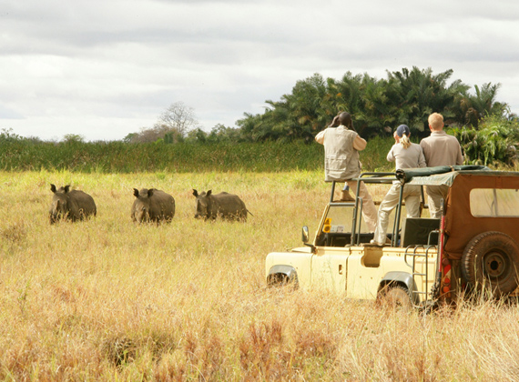 Meru National Park