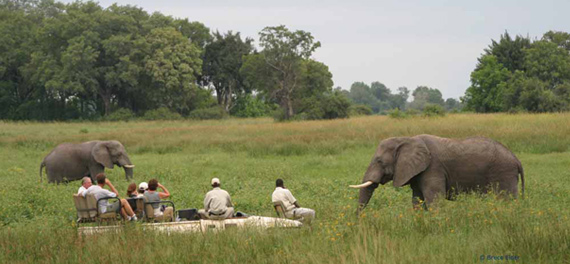 Kwara Camp